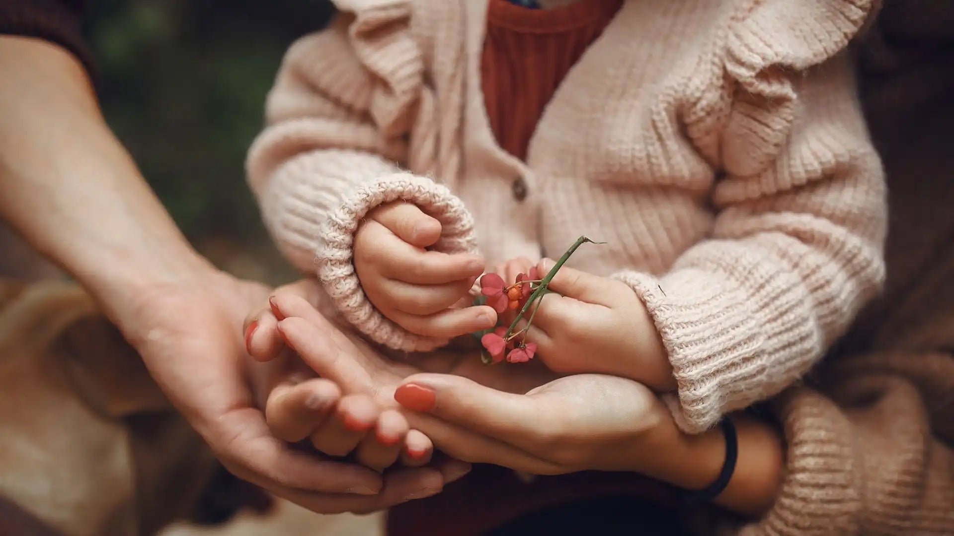 Ett barns händer som håller en liten rosa blomma, vilande i en vuxen hand.