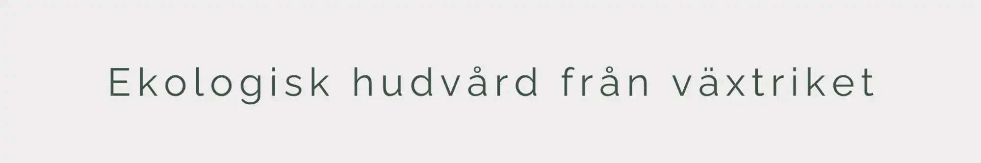 En ljusgrå banner med den svenska texten ”Ekologisk hudvård från växtriket” (Ekologisk hudvård från plantkungen) i ett tunt, sans-serif-typsnitt.